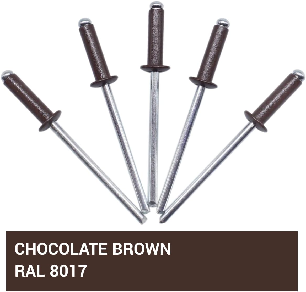 SKIR'CO 80 Painted Aluminum Blind Rivets 4.0 x 14 mm Chocolate Brown