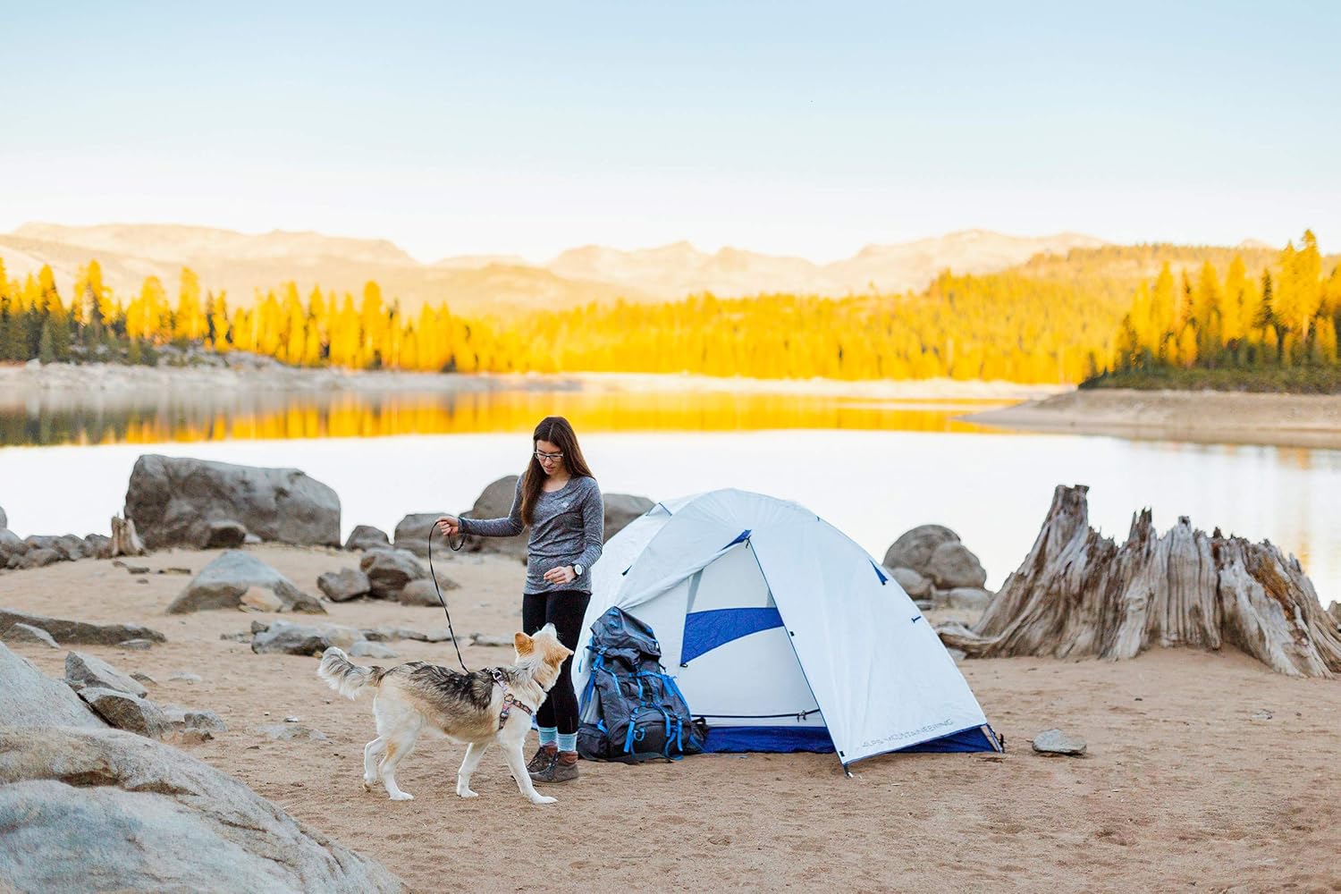 ALPS Mountaineering Lynx 2-Person 3-Season Backpacking Tent