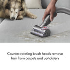 Dyson Ball Animal Total Clean Upright Vacuum, Corded, 290AW, Self-Adjusting Cleaner Head for All Floors, Homes with Pets