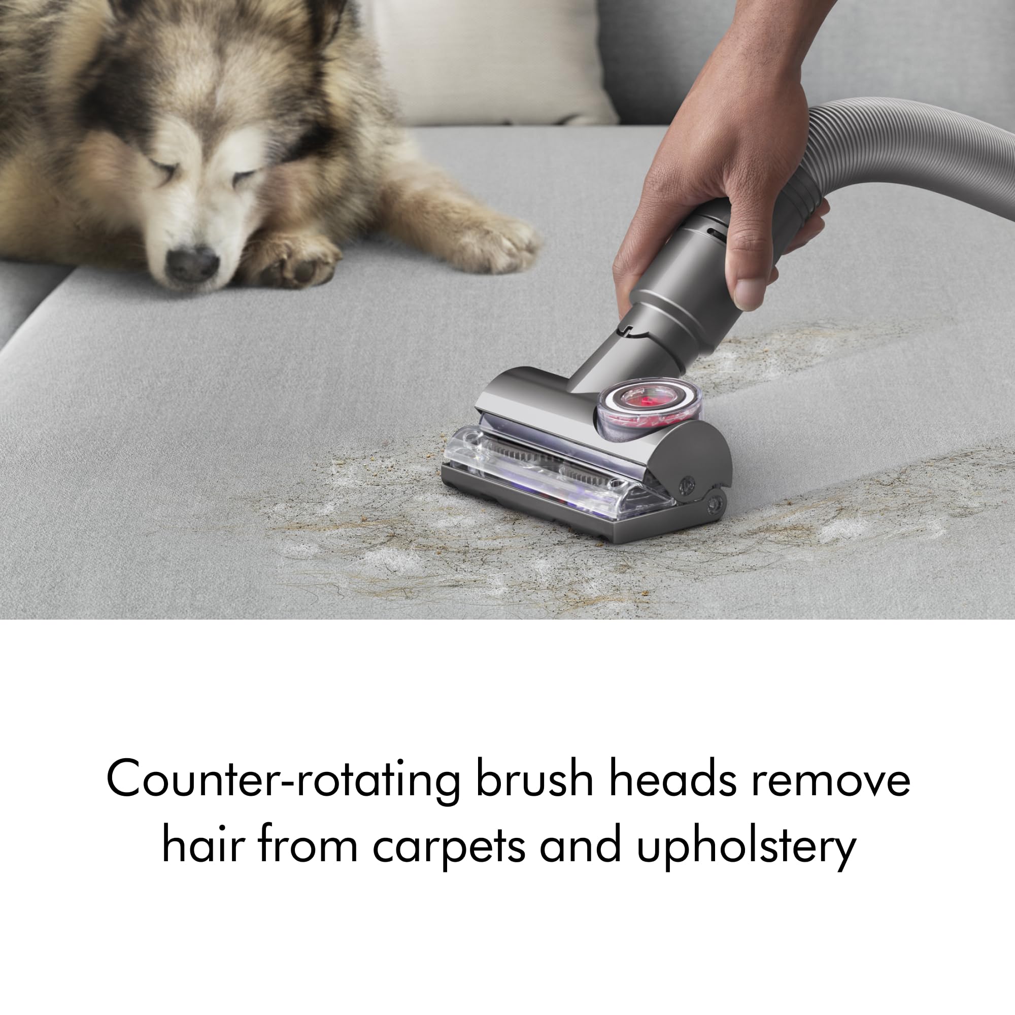 Dyson Ball Animal Total Clean Upright Vacuum, Corded, 290AW, Self-Adjusting Cleaner Head for All Floors, Homes with Pets