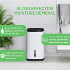 MeacoDry Arete® One 12L dual Dehumidifier & HEPA air purifier for regular sized homes - prevents damp and condensation - ultra-quiet - low energy laundry mode- night mode - five year warranty