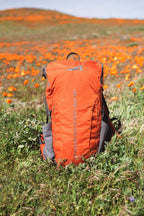 ALPS Mountaineering Canyon 20 Daypack Backpack Chili Gray