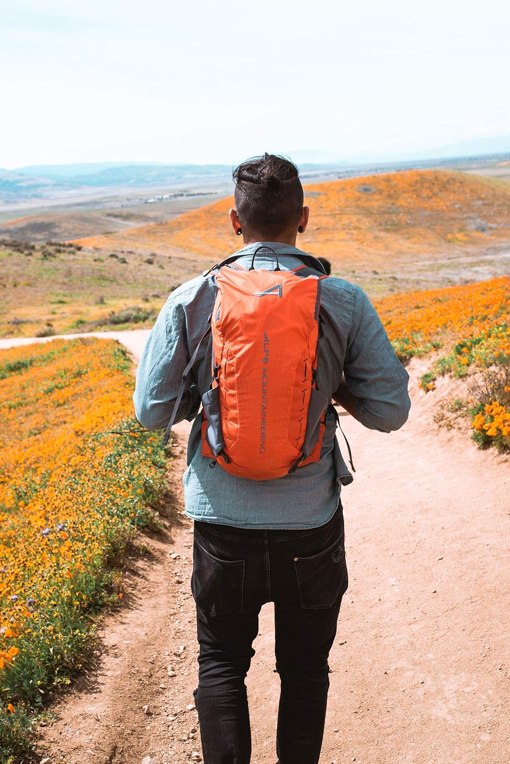 ALPS Mountaineering Canyon 20 Daypack Backpack Chili Gray