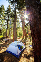 ALPS Mountaineering Lynx 2-Person 3-Season Backpacking Tent