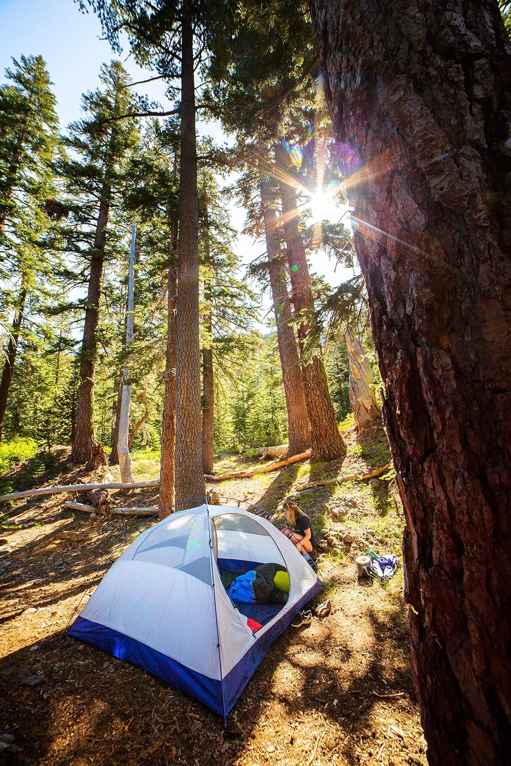 ALPS Mountaineering Lynx 2-Person 3-Season Backpacking Tent